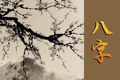 纳音与年柱气场