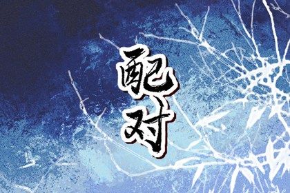 纳音配对:比和、相生与平衡