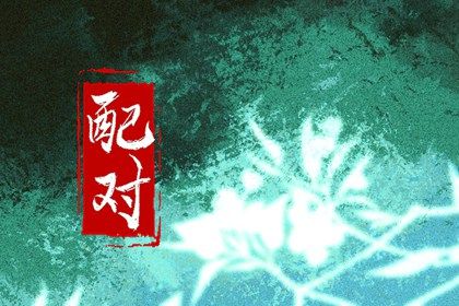 自由恋爱时代的合婚
