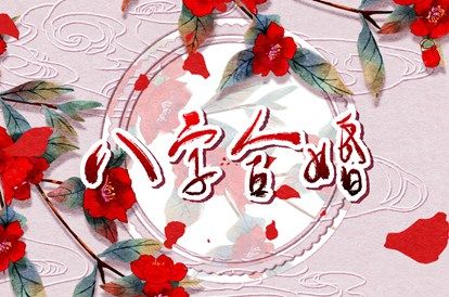 星座配对(民俗参考)