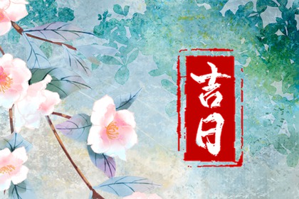 搬家忌冲户主生肖