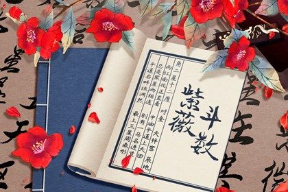 排盘基础概念